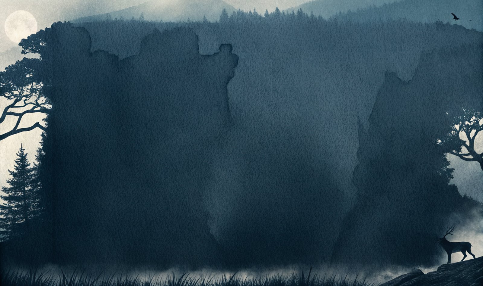 Forêt au crépuscule, identité visuelle Le Noyau
